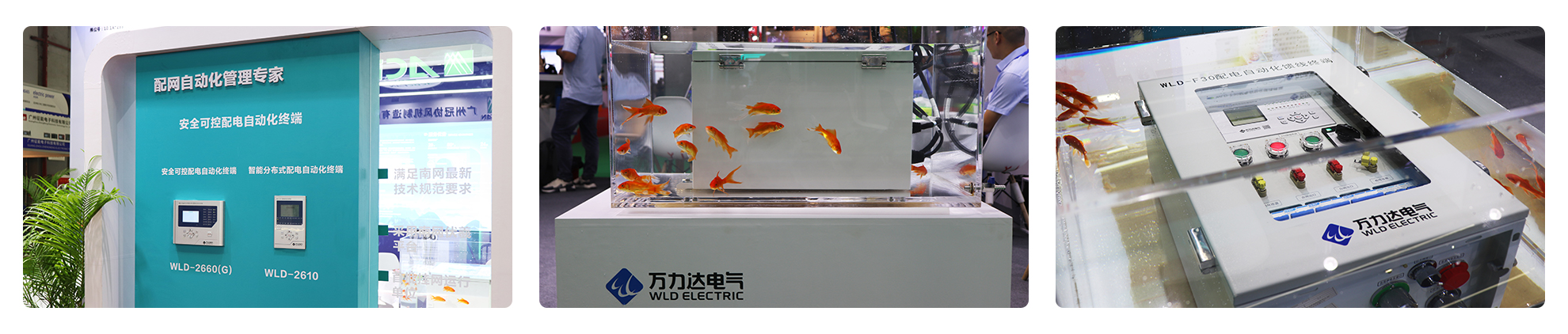 LETOU-��Ͷ(����)�ٷ���վ